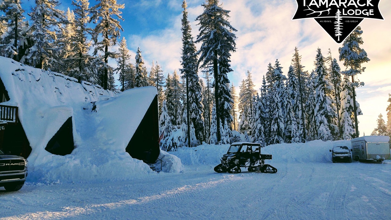 Photo of Outdoor in Weston