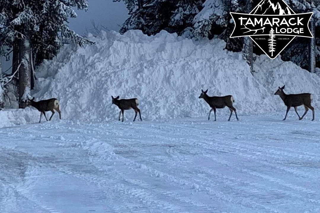 Photo of Others in Weston