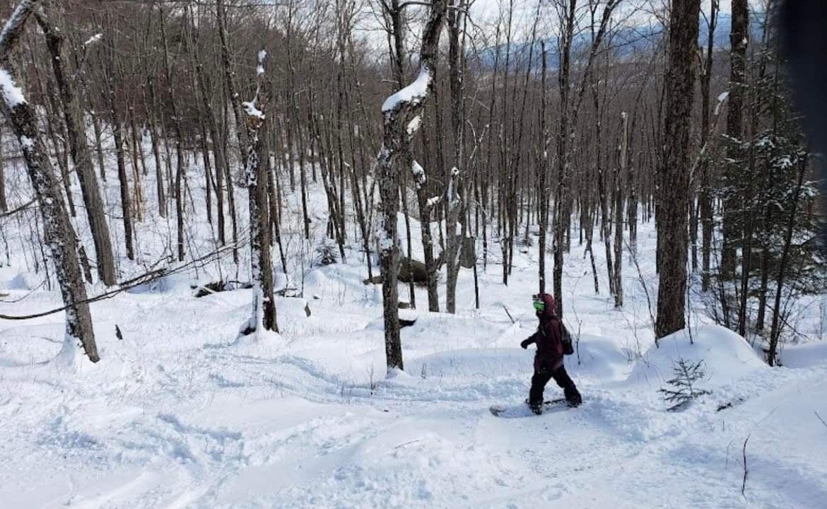 Photo of Others in North Creek