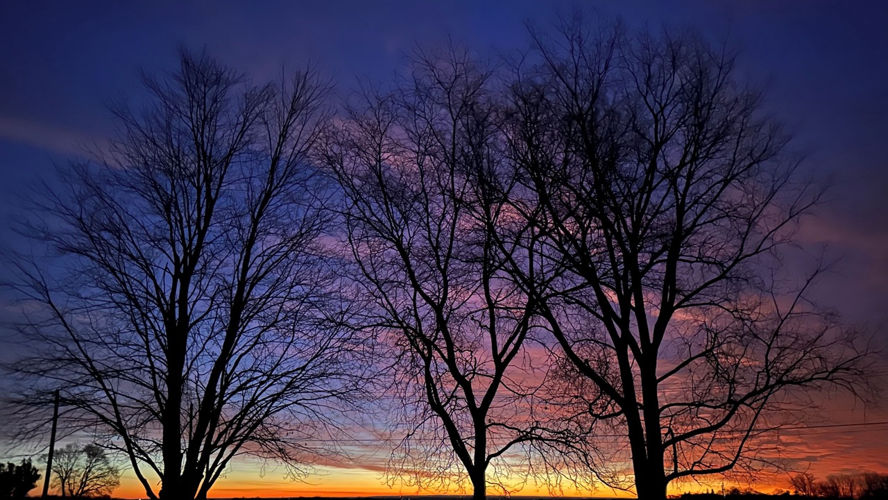 Photo of Others in Geneva