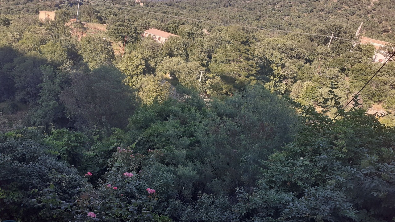 Photo of Others in Ville-di-Paraso