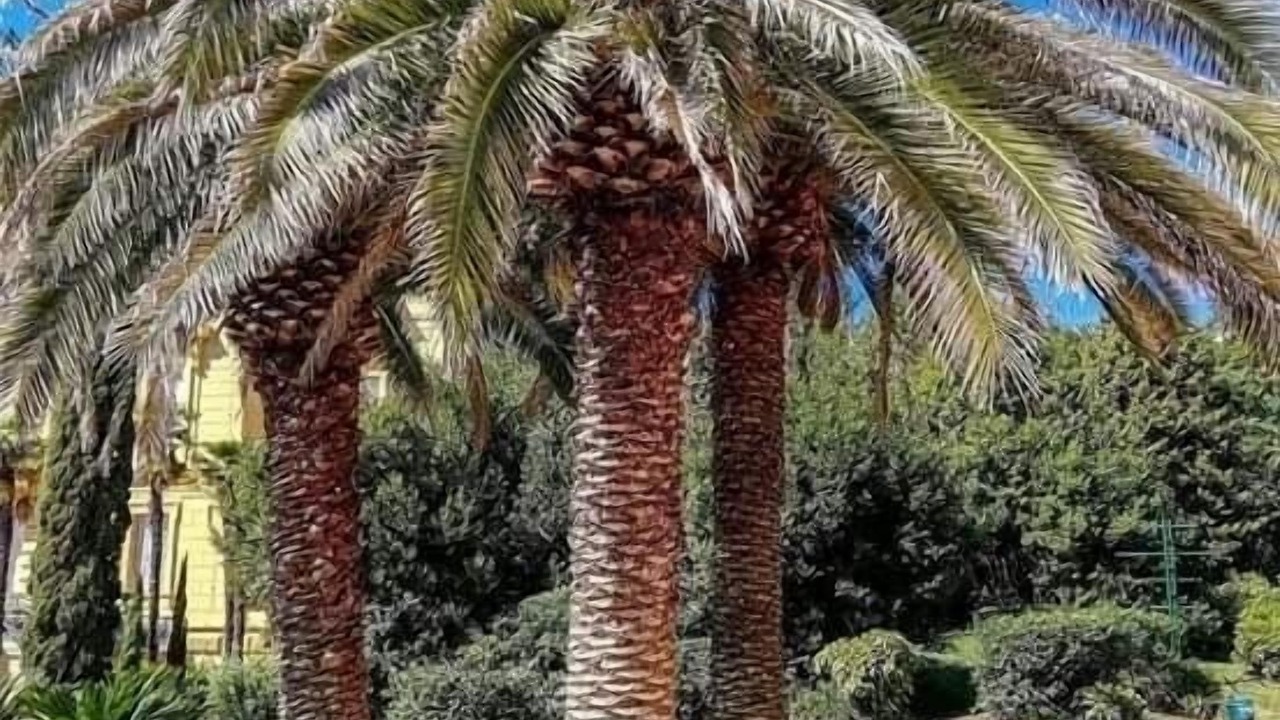 Photo of Outdoor in Opatija