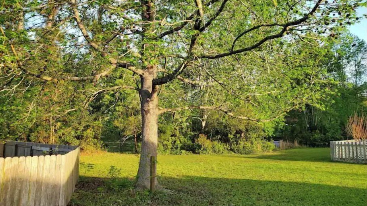 Photo of Outdoor in St. Marys