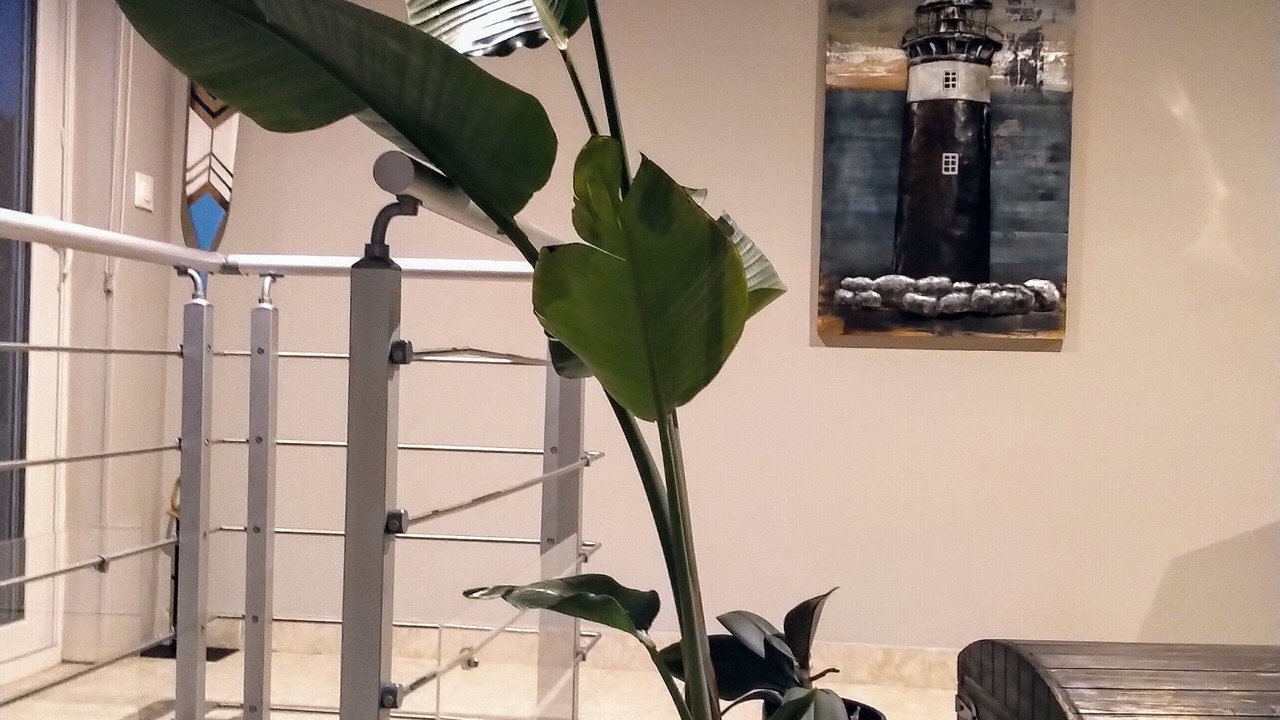 Photo of Others in Reville