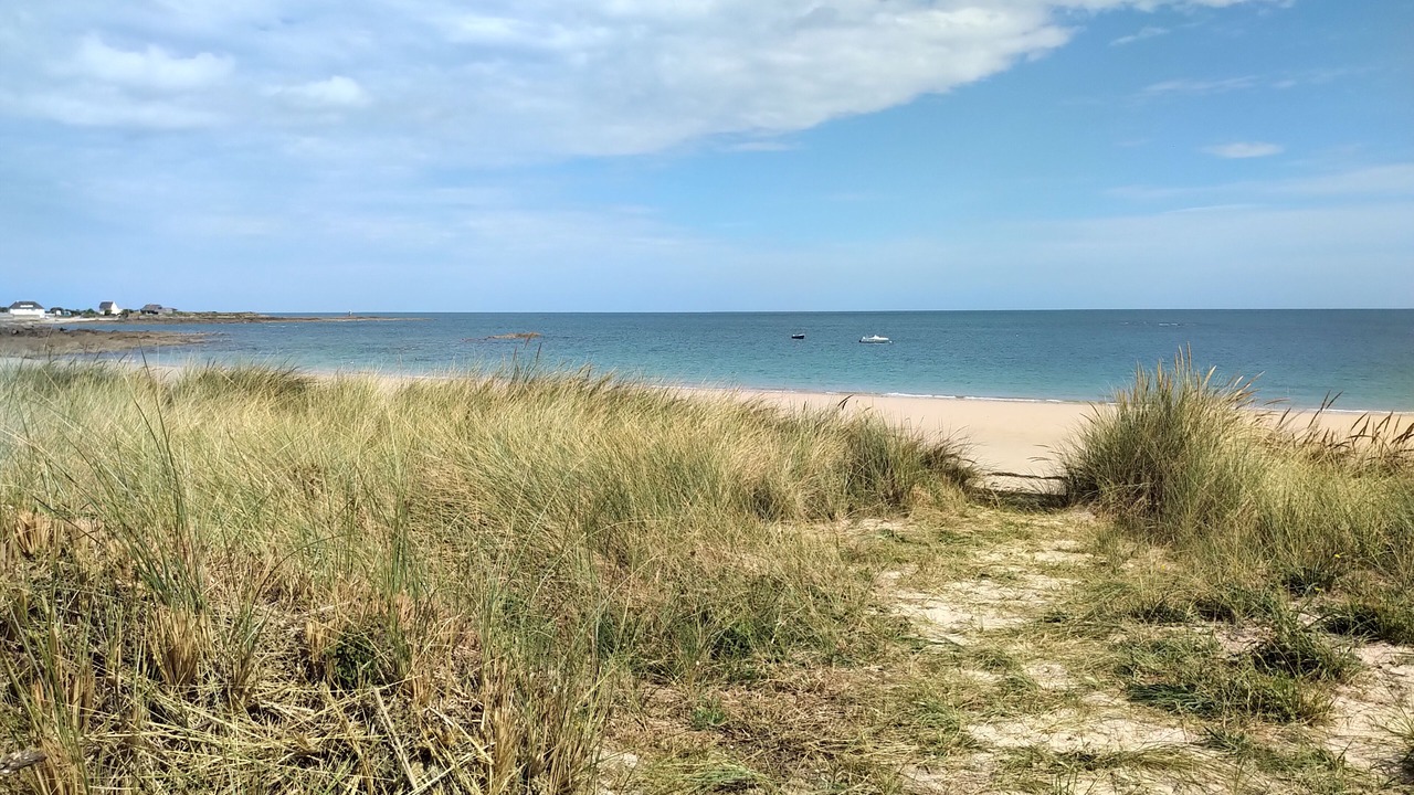 Photo of Others in Reville