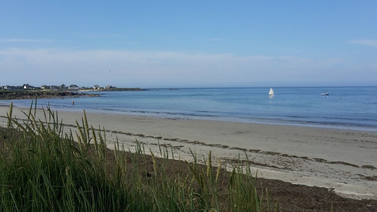 Photo of Others in Reville