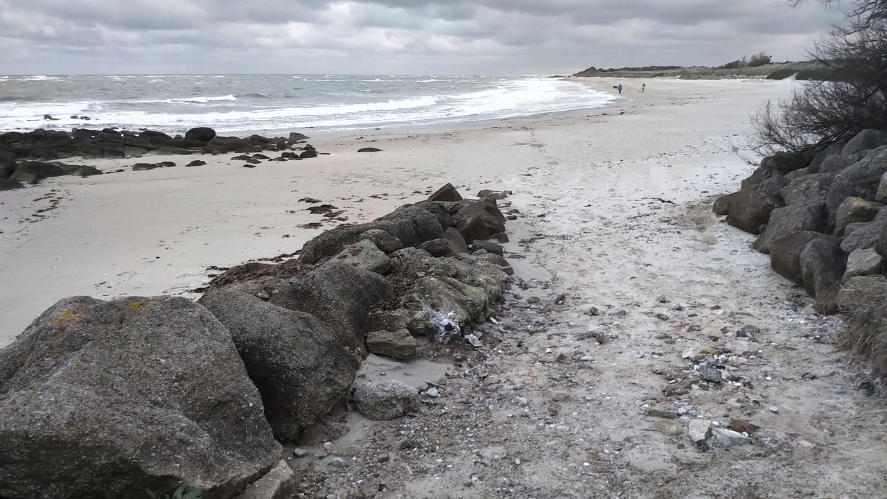 Photo of Others in Reville