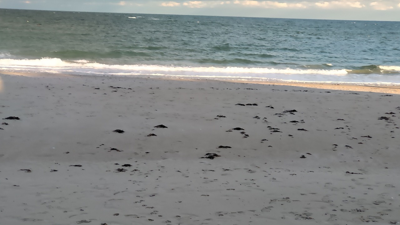 Photo of Others in Reville