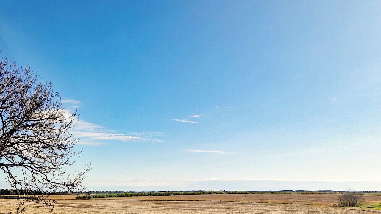 Photo of Others in Woodhorn