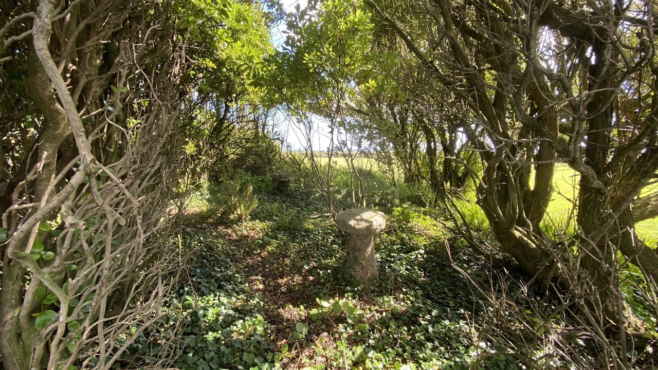 Photo of Outdoor in Helston