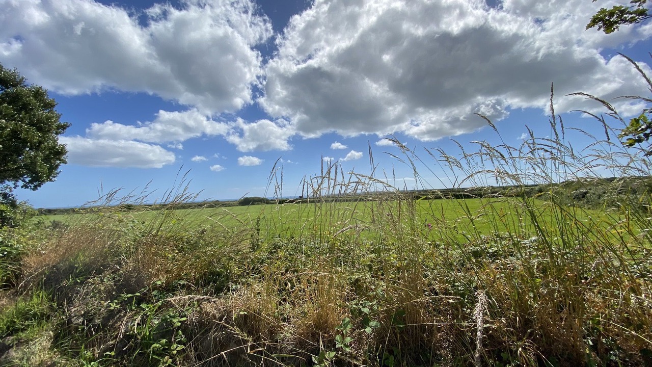 Photo of Outdoor in Helston