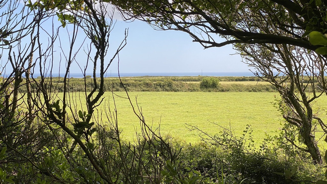 Photo of Outdoor in Helston