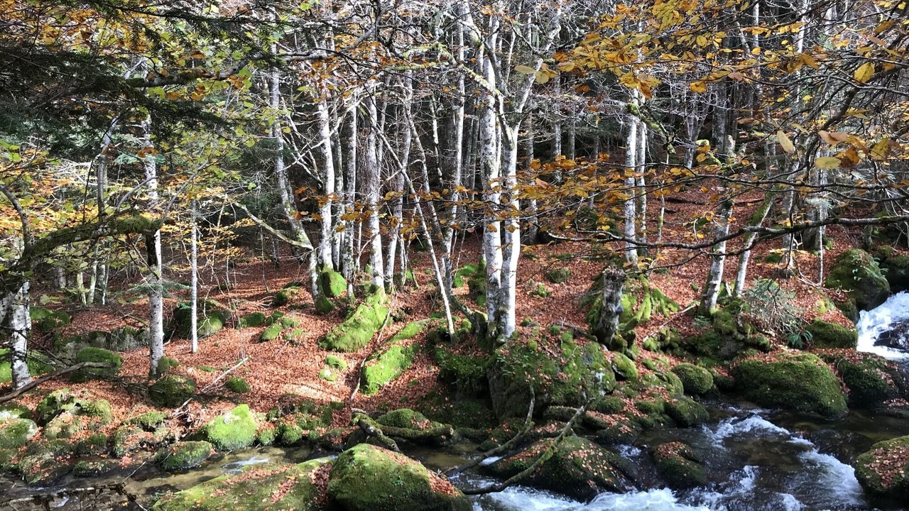 Photo of Outdoor in Unac
