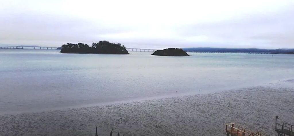 Photo of Others in San Rafael