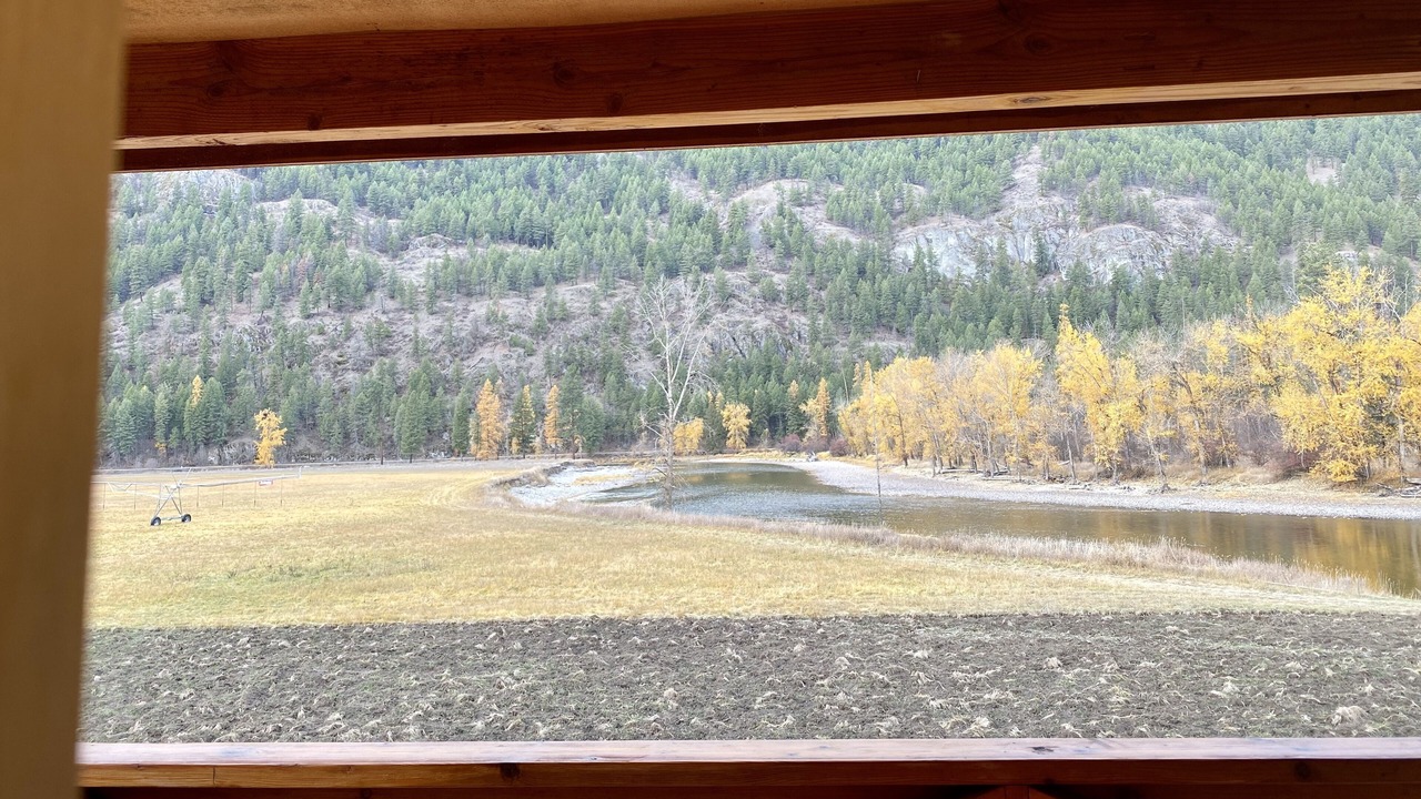 Photo of Others in Curlew