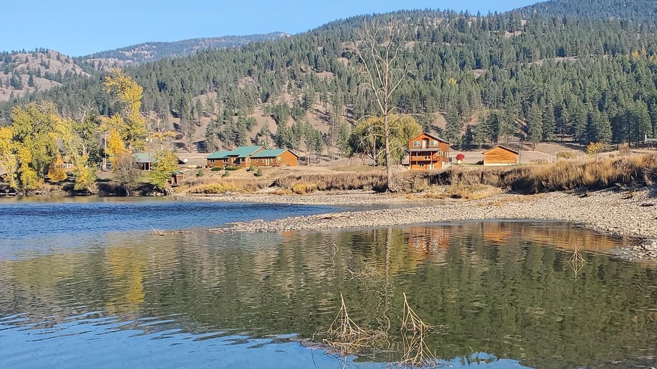 Photo of Others in Curlew