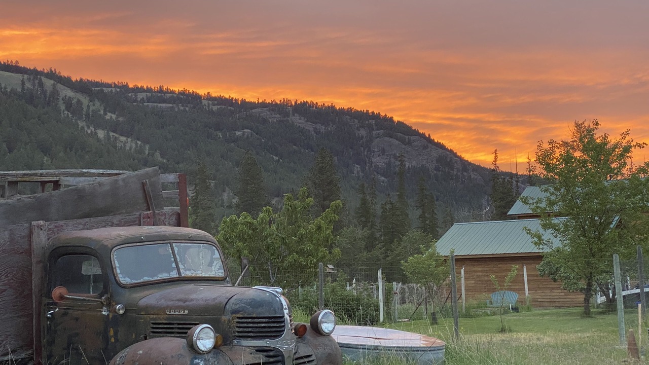 Photo of Outdoor in Curlew