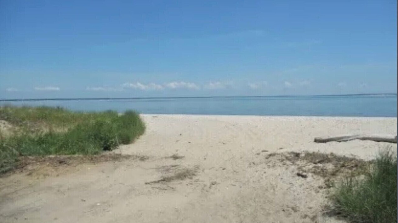 Photo of Others in Hampton Bays