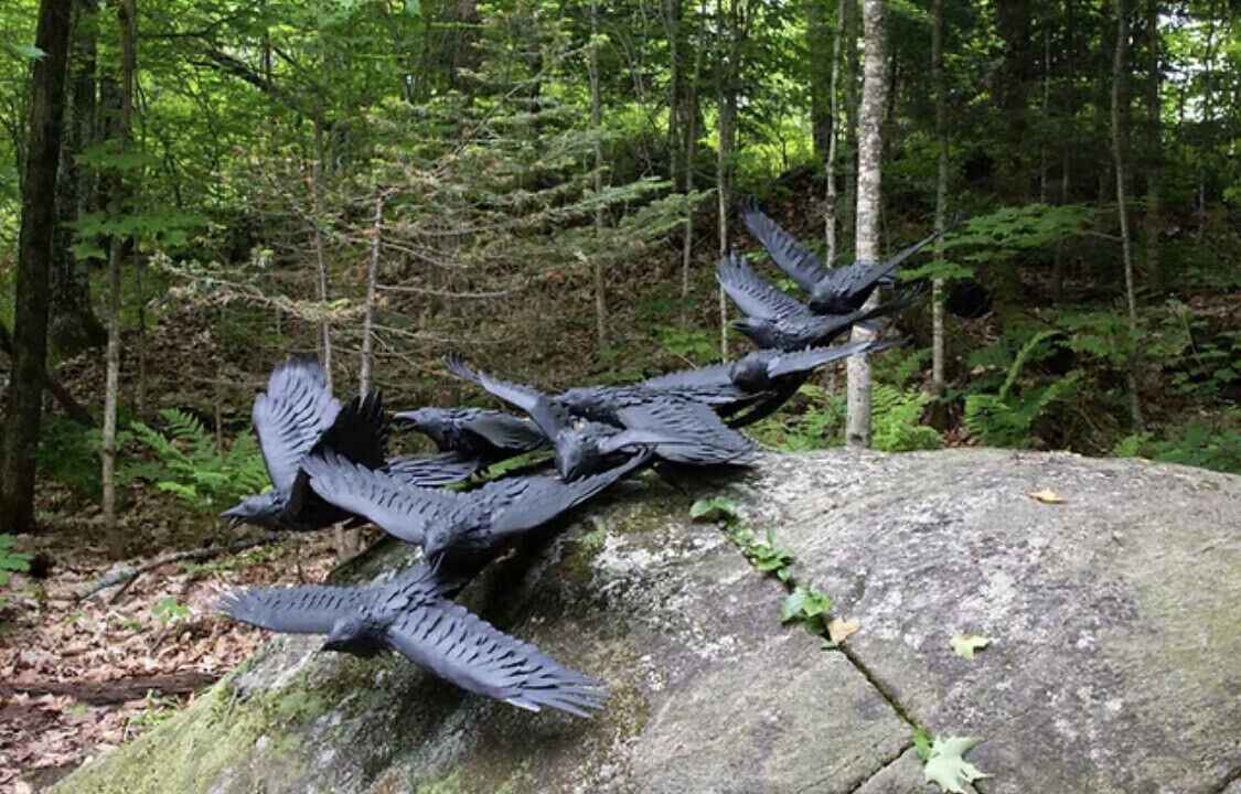 Photo of Others in Algonquin Highlands
