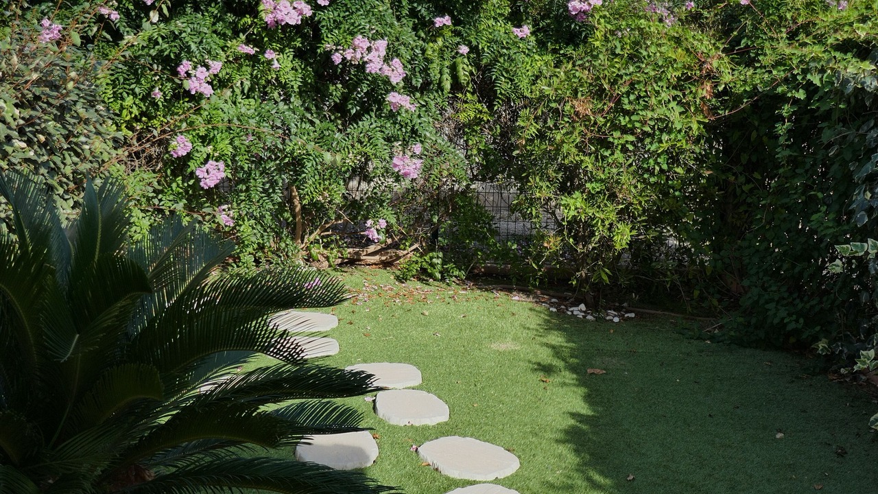 Photo of Outdoor in La Palme