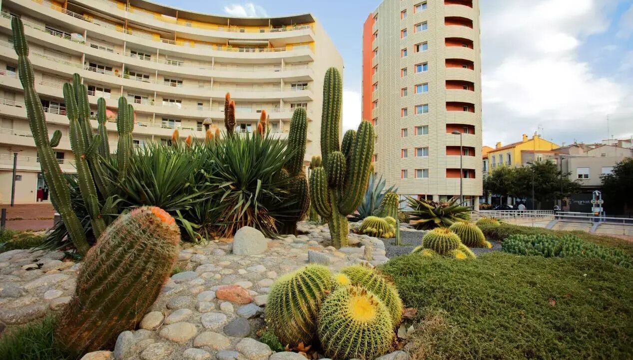 Photo of Outdoor in Clemenceau