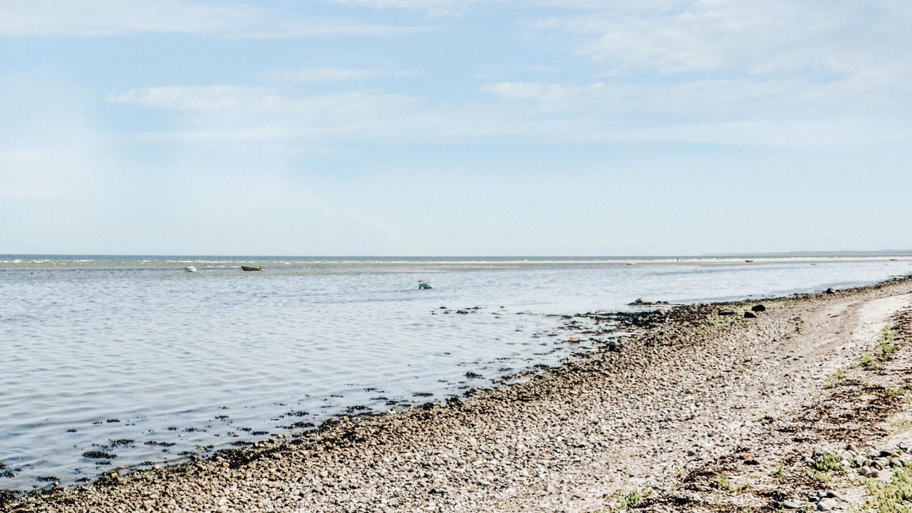 Photo of Others in Allingabro