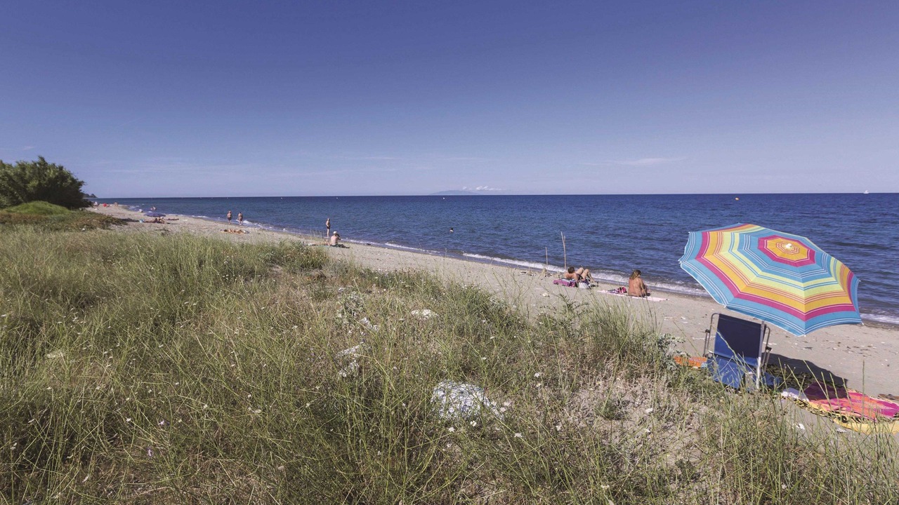 Photo of Others in Poggio-Mezzana