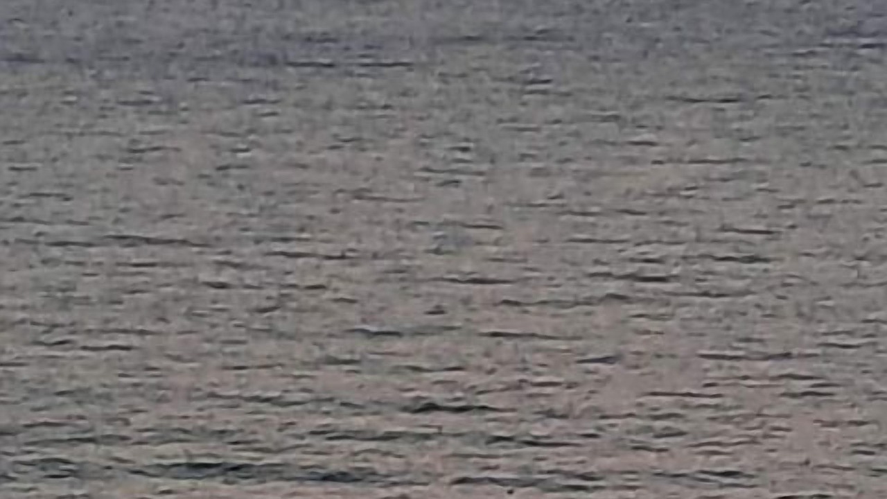 Photo of Others in Etables-sur-Mer