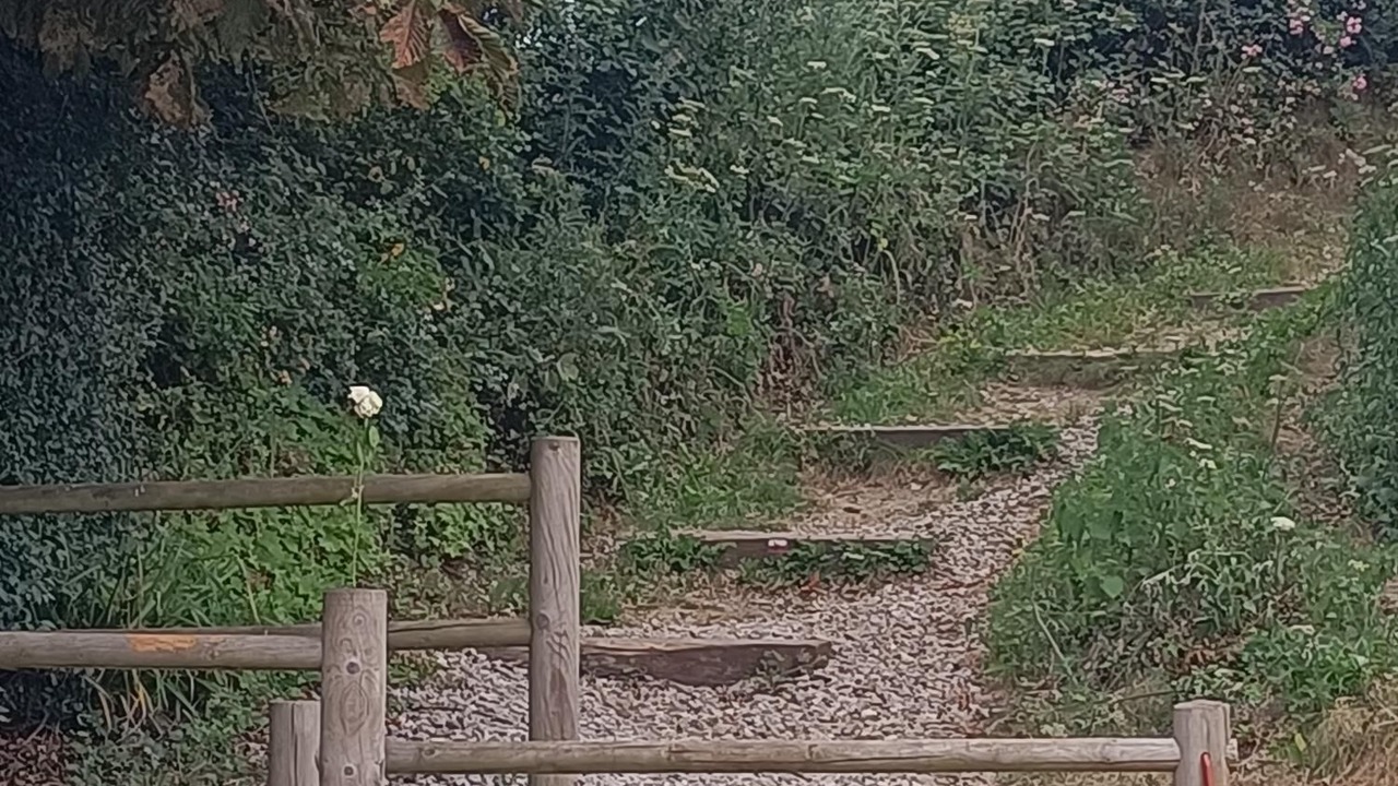 Photo of Outdoor in Dieppe