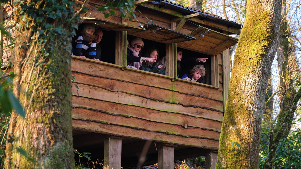 Photo of Outdoor in Chittlehamholt