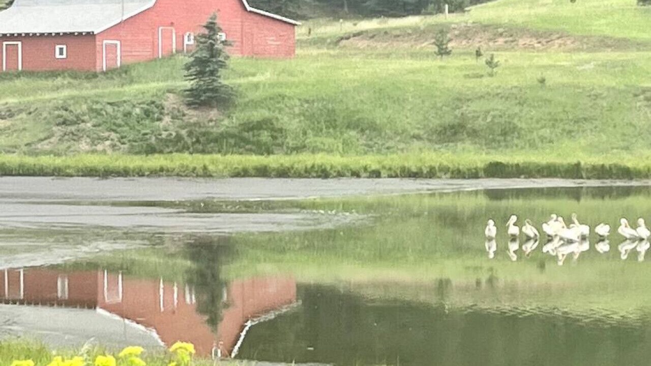 Photo of Outdoor in Spring Valley