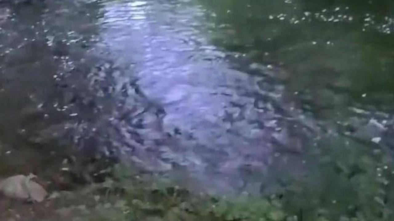 Photo of Others in Jefferson