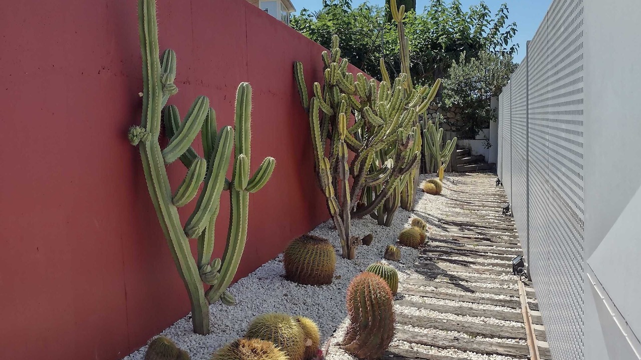 Photo of Outdoor in Oropesa del Mar