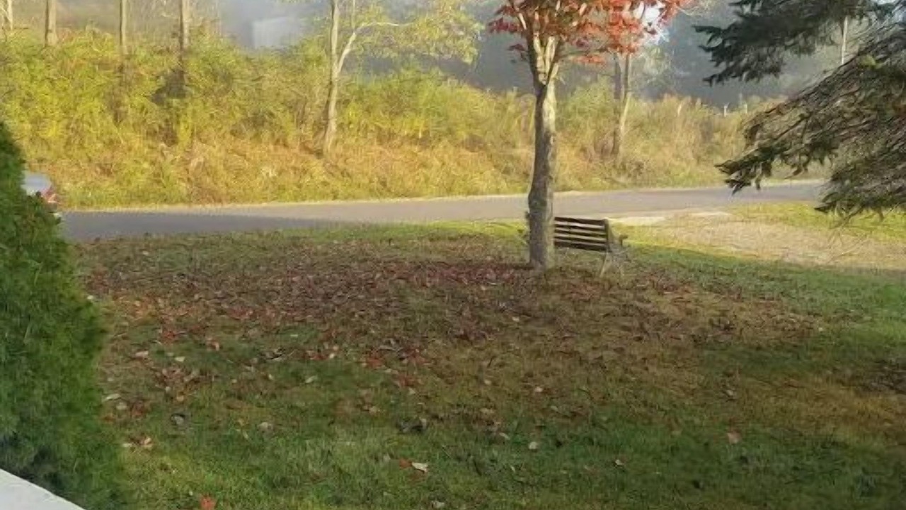 Photo of Outdoor in Shinglehouse