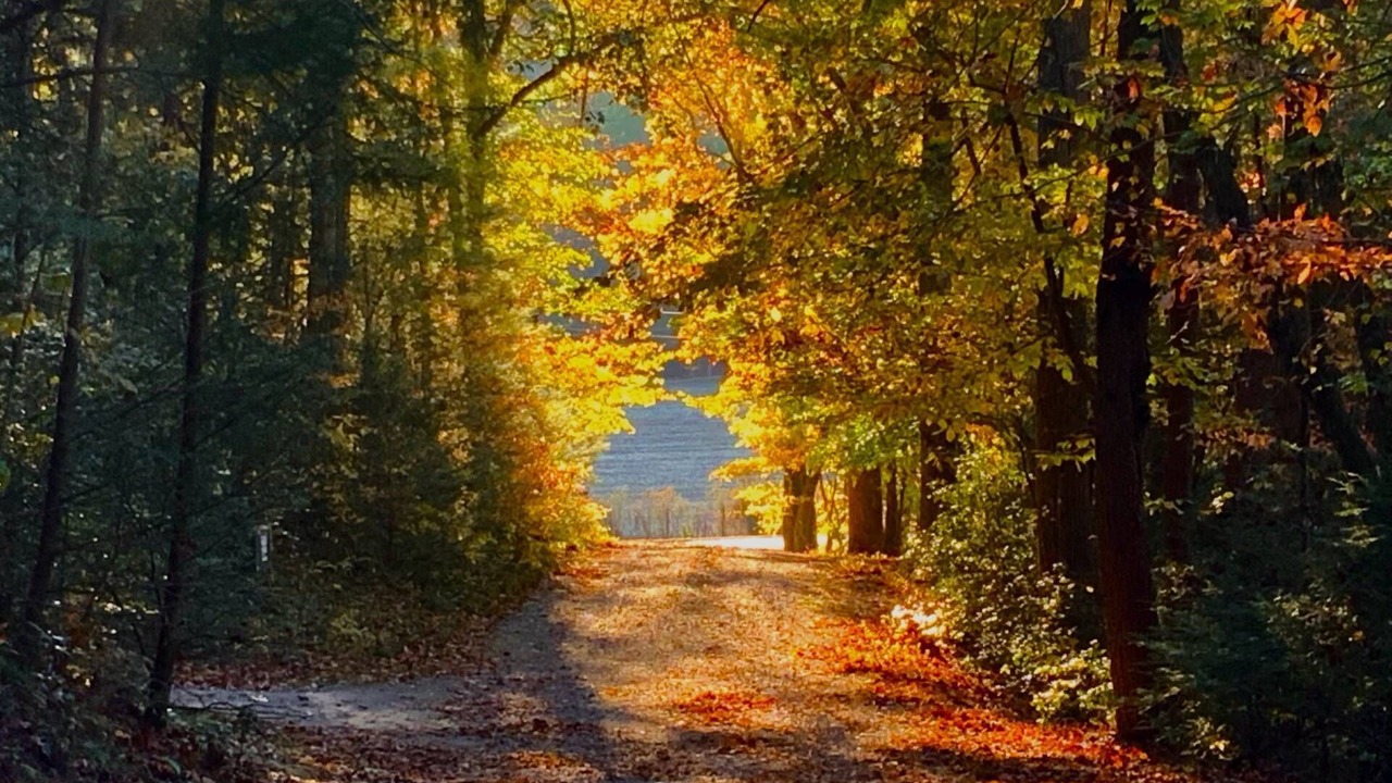 Photo of Others in Clarkesville