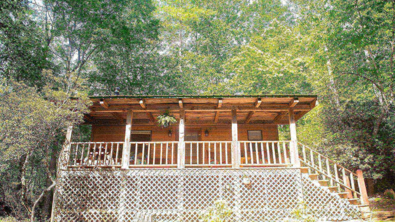 Photo of Outdoor in Clarkesville