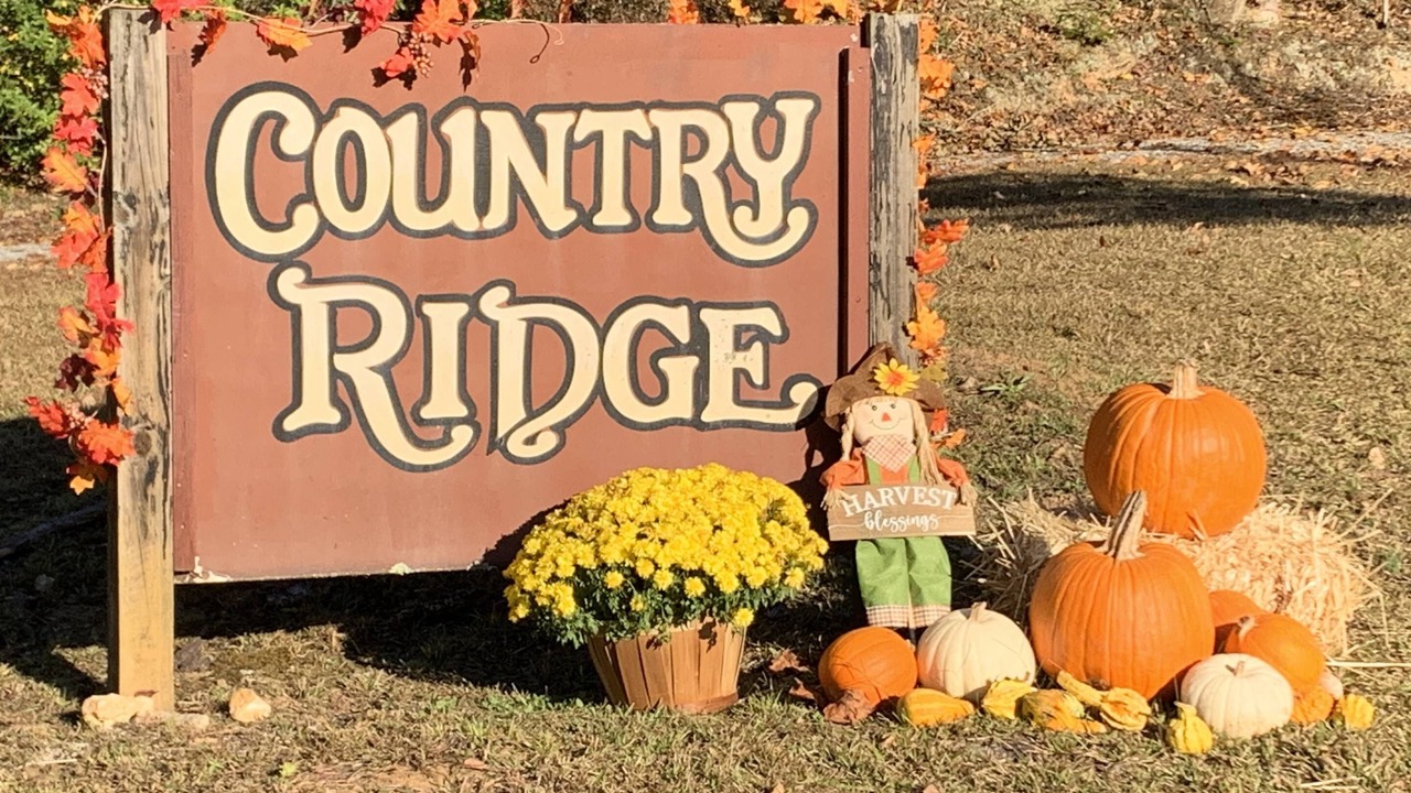 Photo of Others in Clarkesville