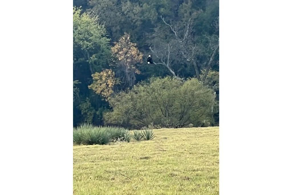 Photo of Outdoor in Mineral Wells