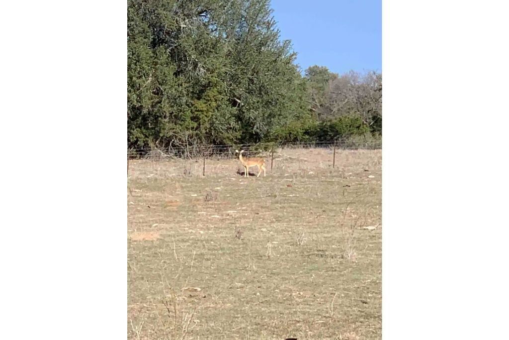Photo of Others in Mineral Wells
