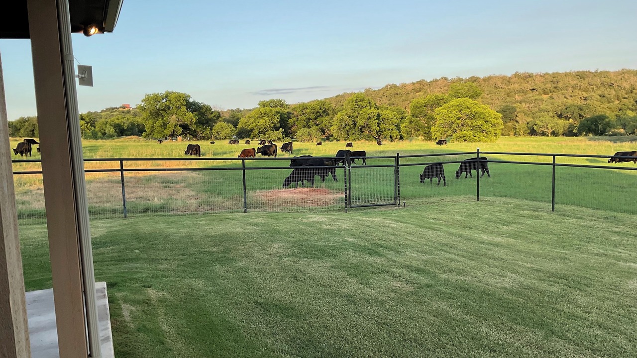 Photo of Outdoor in Mineral Wells