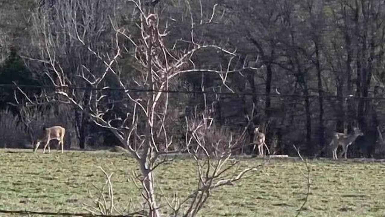 Photo of Outdoor in Mineral Wells