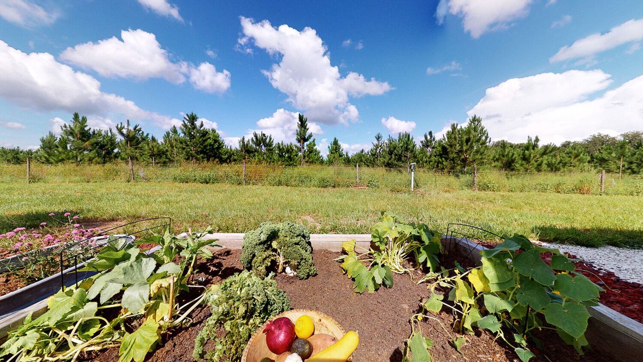 Photo of Outdoor in Seffner