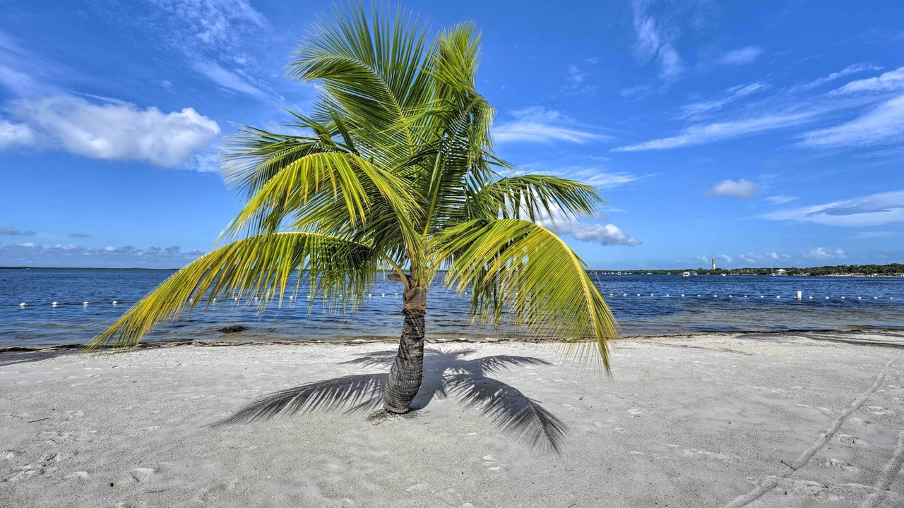 Photo of Others in Key Largo Village