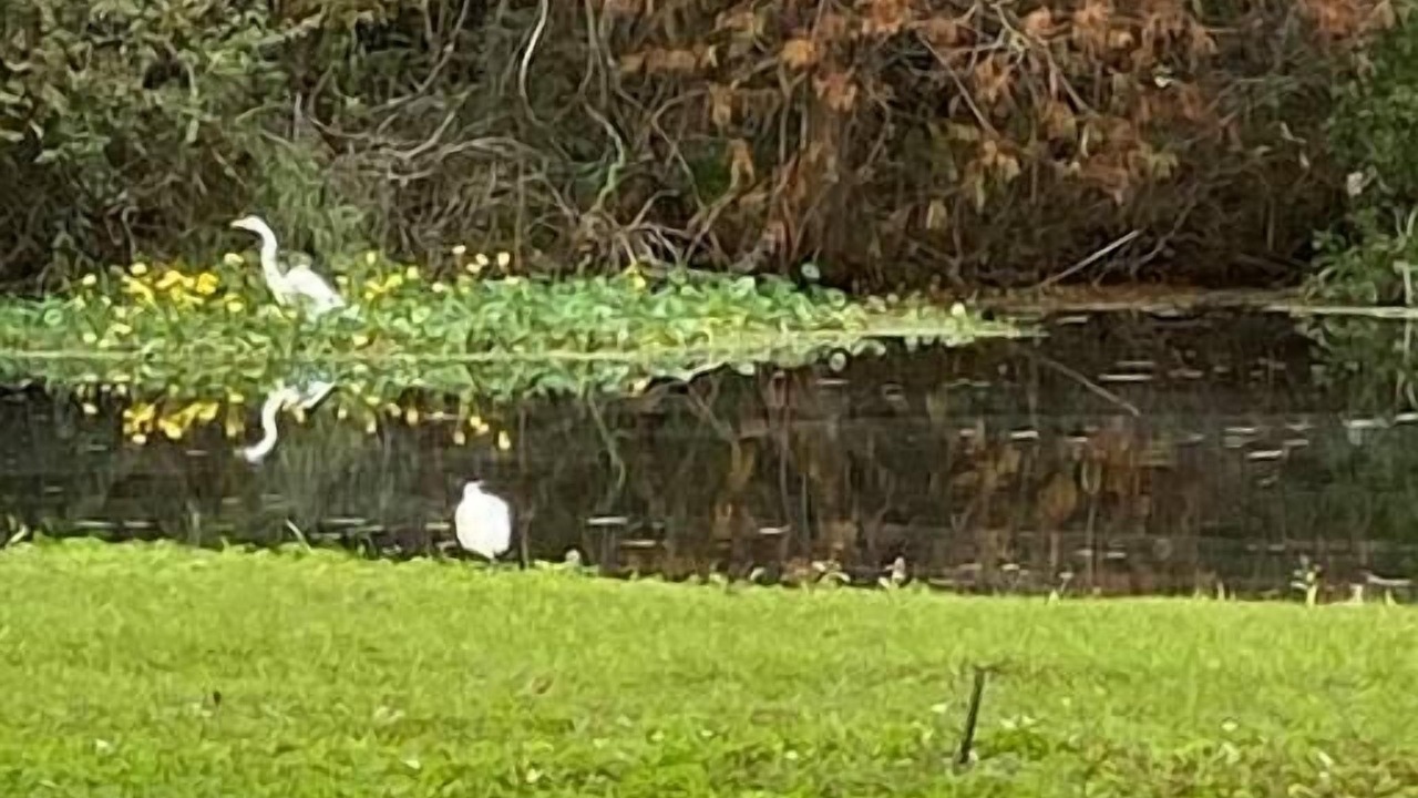 Photo of Others in Crystal River