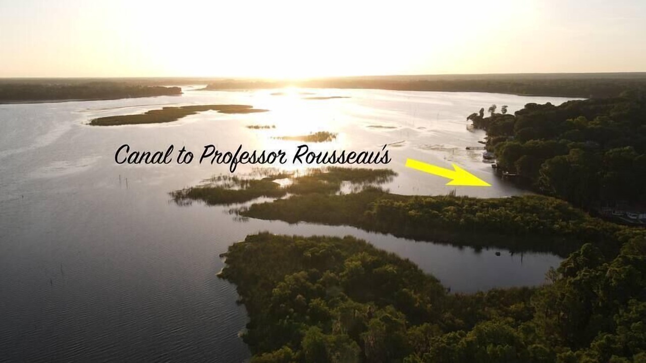 Photo of Outdoor in Crystal River