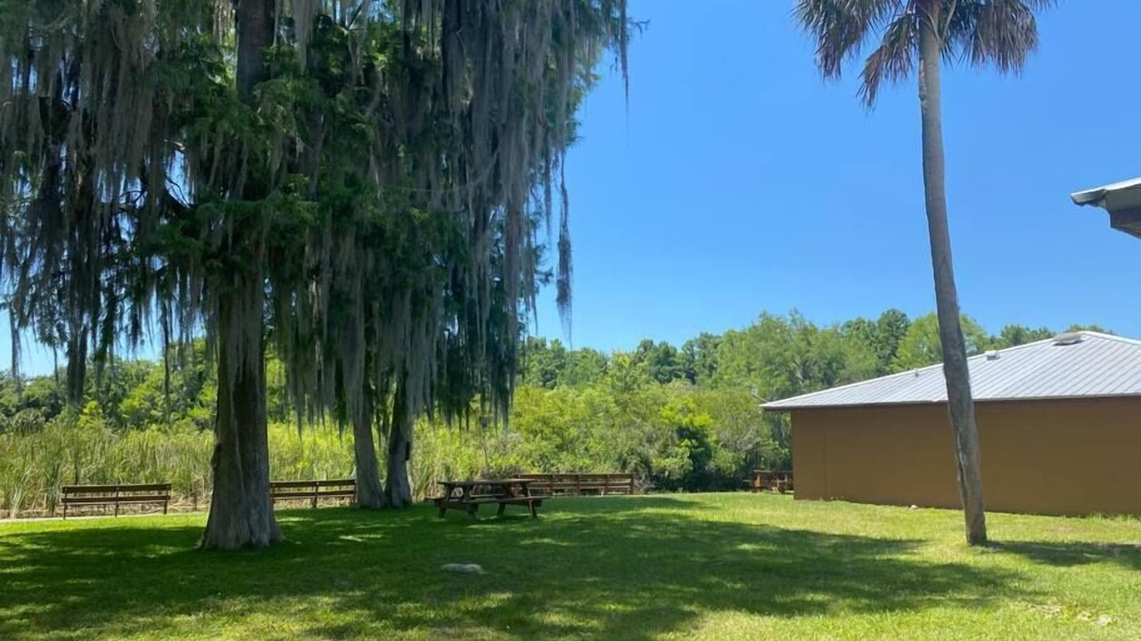 Photo of Outdoor in Crystal River