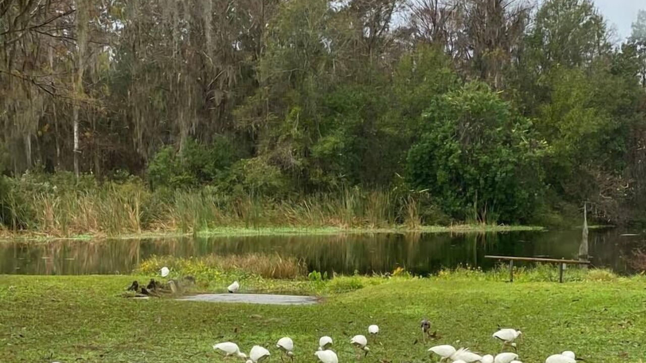 Photo of Outdoor in Crystal River