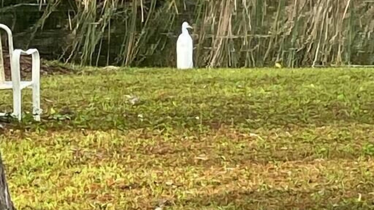 Photo of Others in Crystal River