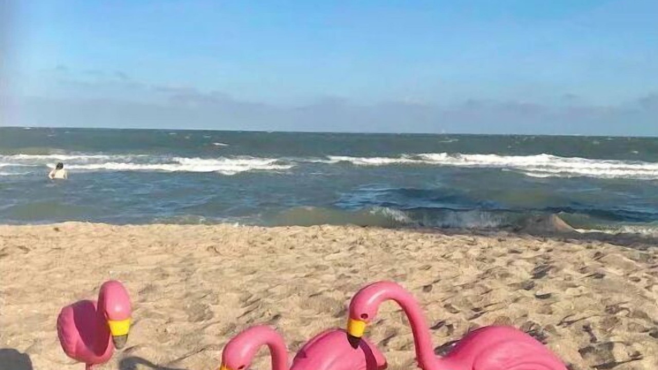 Photo of Others in North Beach