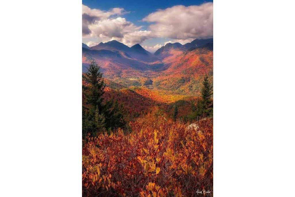 Photo of Others in Wilmington